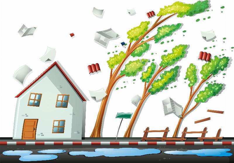 Preparing Your Home for Hurricane Season: Remodeler's Advice