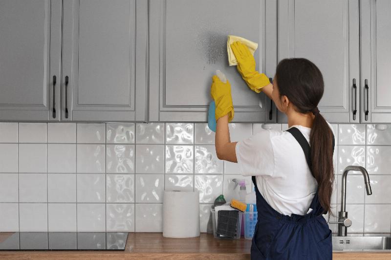 The Best Degreasers for Kitchen Cabinets