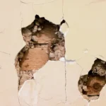 How to Repair Holes in Plaster Walls 